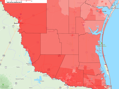 Detailed Ancestry Characteristics ~ Texas